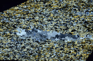 Cross Polarized, N6323