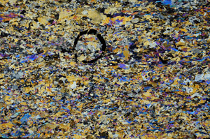 Cross Polarized, N6329