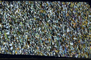 Cross Polarized, N6349