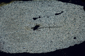 Cross Polarized, N6358