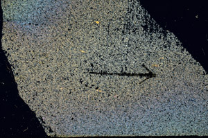 Cross Polarized, N6358/A