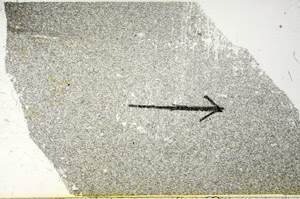 Plane Polarized, N6358/A