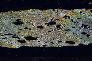 Cross Polarized, N6372