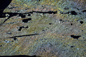 Cross Polarized, N6373