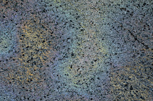 Cross Polarized, N6377