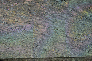 Cross Polarized, N6379