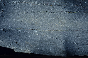 Cross Polarized, N6380