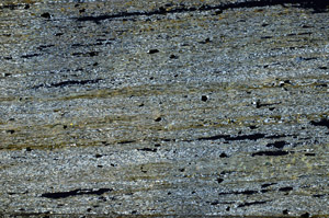Cross Polarized, N6383