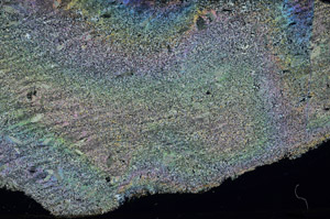 Cross Polarized, N6387