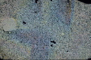 Cross Polarized, N6388