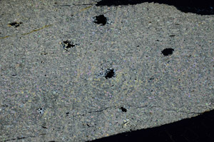 Cross Polarized, N6389