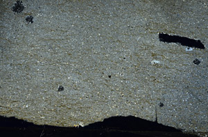 Cross Polarized, N6391