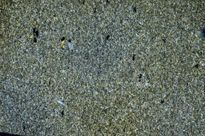 Cross Polarized, N6392