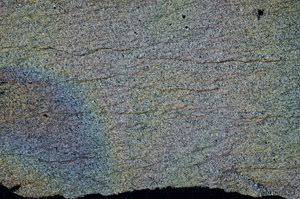 Cross Polarized, N6393