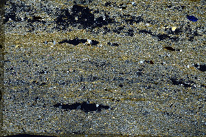 Cross Polarized, N6395