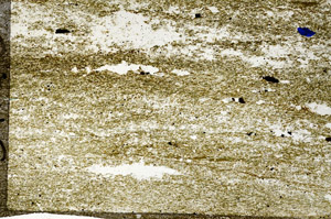 Plane Polarized, N6395