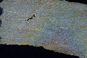 Cross Polarized, N6398