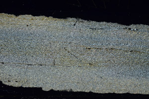 Cross Polarized, N6399