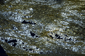 Cross Polarized, N6400