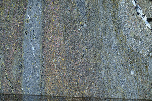 Cross Polarized, N6447