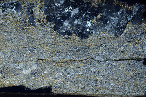 Cross Polarized, N6461