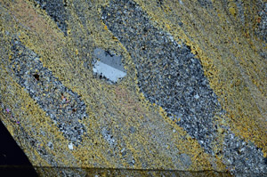 Cross Polarized, N6476