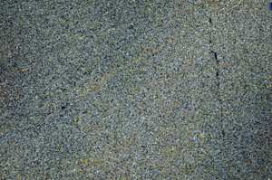 Cross Polarized, N6495
