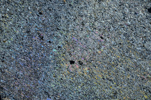 Cross Polarized, N6504