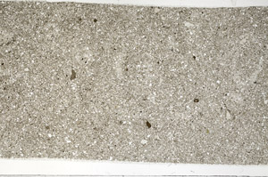 Plane Polarized, N6506