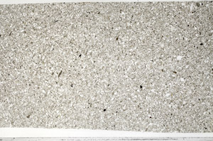 Plane Polarized, N6507