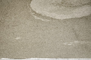 Plane Polarized, N6508