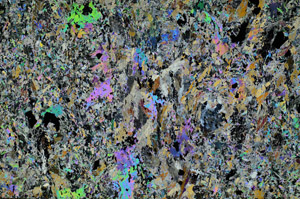 Cross Polarized, N6516
