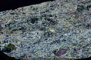 Cross Polarized, N6526