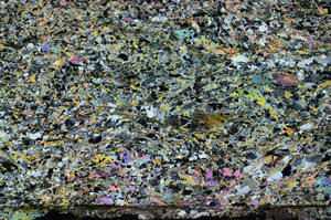 Cross Polarized, N6535