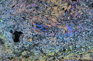 Cross Polarized, N6539