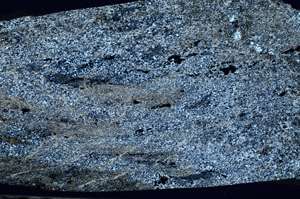 Cross Polarized, N6541