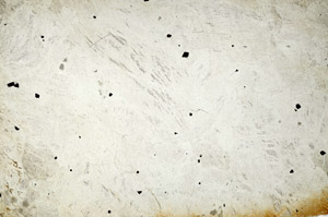 Plane Polarized, N6545