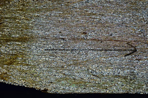 Cross Polarized, N6548