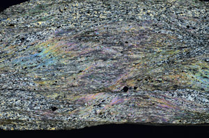Cross Polarized, N6550