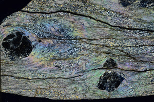 Cross Polarized, N6552