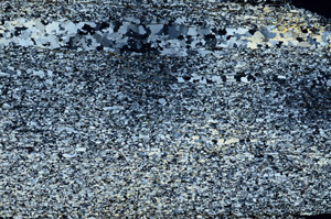 Cross Polarized, N6554