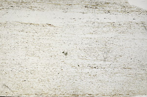 Plane Polarized, N6554
