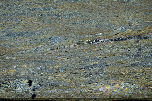 Cross Polarized, N6556