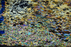 Cross Polarized, N6557