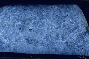 Cross Polarized, N6575/A