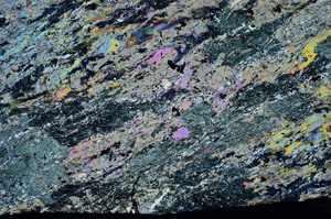Cross Polarized, N6582/A
