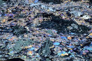 Cross Polarized, N6588