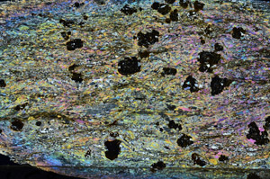 Cross Polarized, N6592