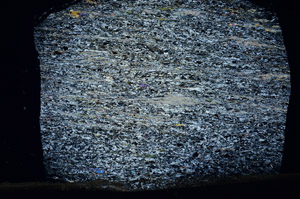 Cross Polarized, N6598