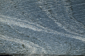 Cross Polarized, N6627/A